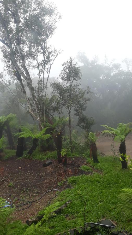 Morada Do Xaxim - Chale Hortencia São Francisco de Paula エクステリア 写真