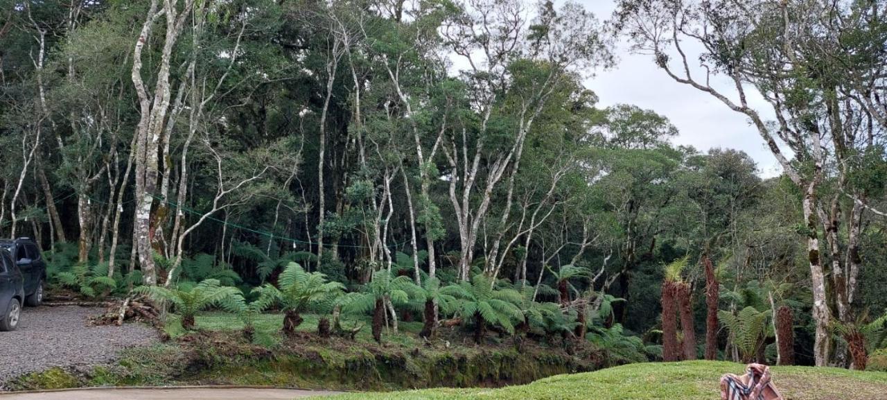Morada Do Xaxim - Chale Hortencia São Francisco de Paula エクステリア 写真