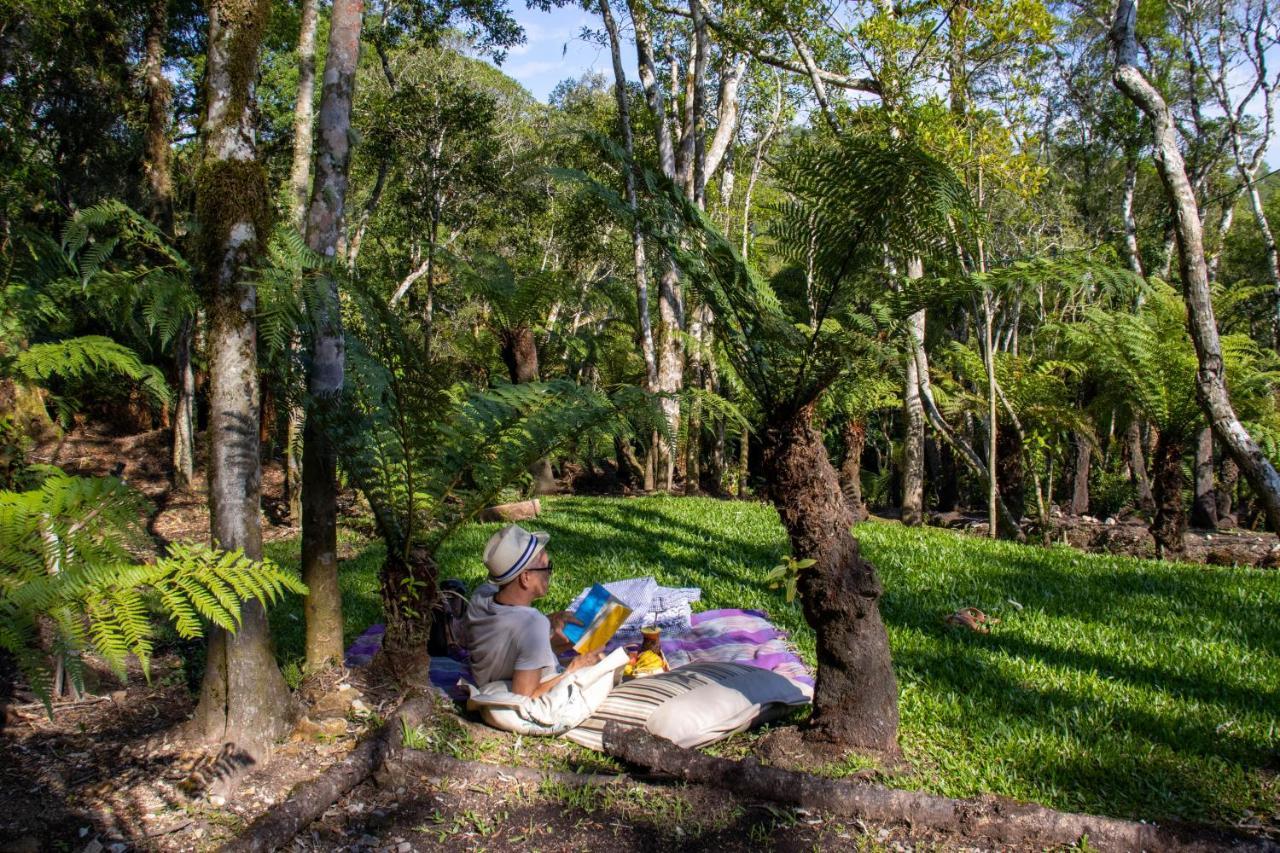 Morada Do Xaxim - Chale Hortencia São Francisco de Paula エクステリア 写真